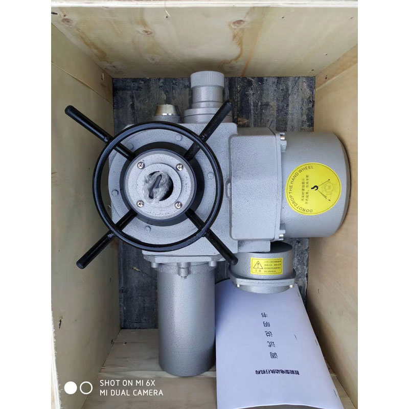 電動頭螺旋杆啓閉機